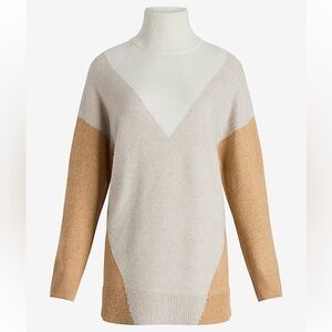 Express Color Block Turtleneck Sweater